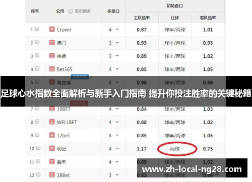 足球心水指数全面解析与新手入门指南 提升你投注胜率的关键秘籍 足球心水指数全面解析与新手入门指南 提升你投注胜率的关键秘籍