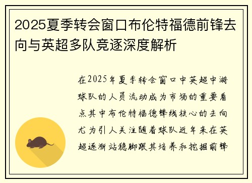 2025夏季转会窗口布伦特福德前锋去向与英超多队竞逐深度解析